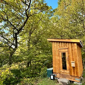 Farm Happy Dogs Ranch Bauernhof